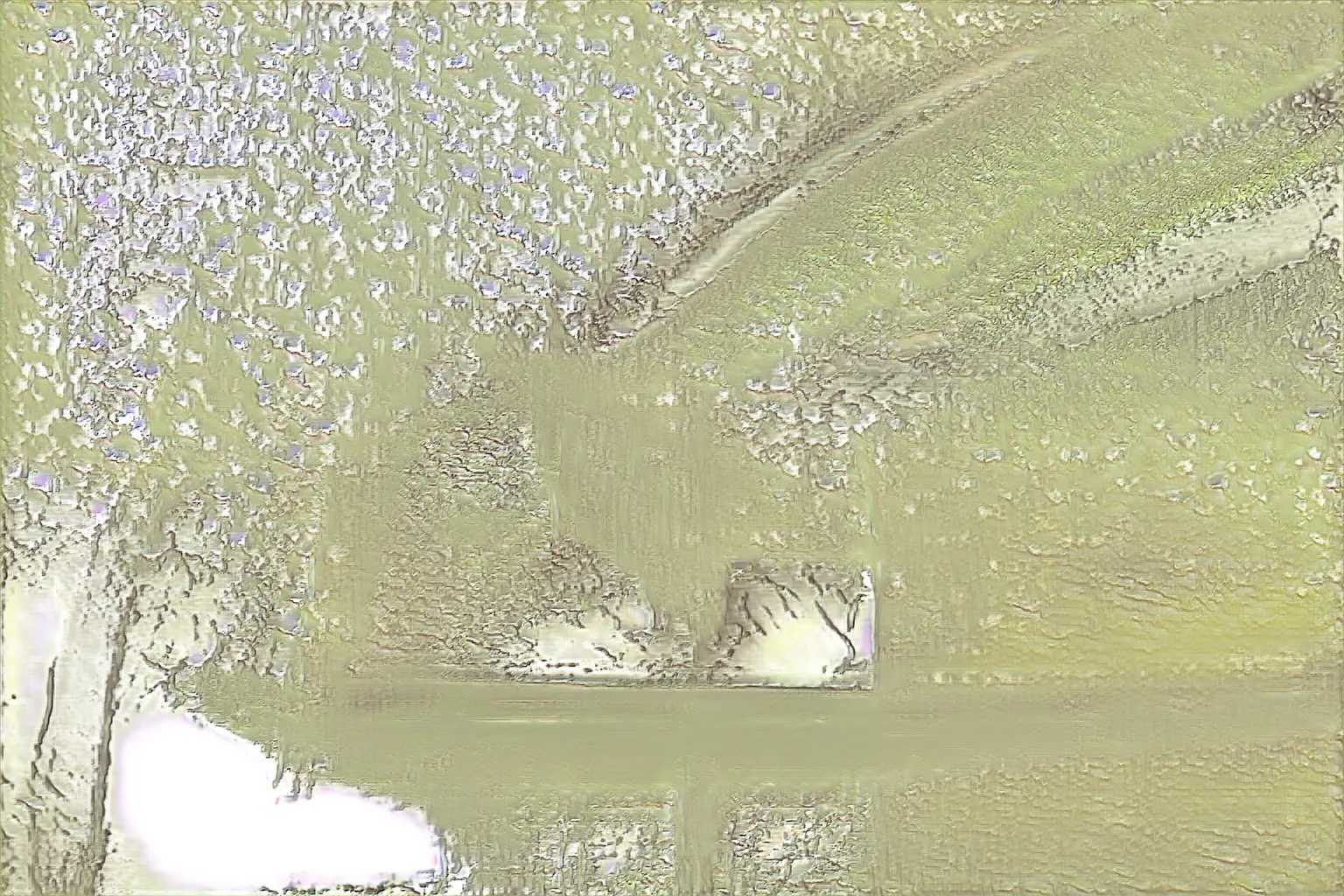 A picture drawn by ganlive-lichen, a GAN trained on my photographs